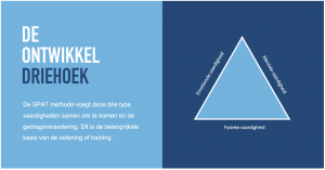 De ontwikkeldriehoek