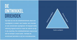 De ontwikkeldriehoek